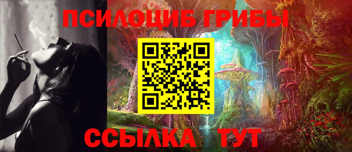 Вятские Поляны  Псилоцибиновые грибы мухоморы  Вход с VPN 