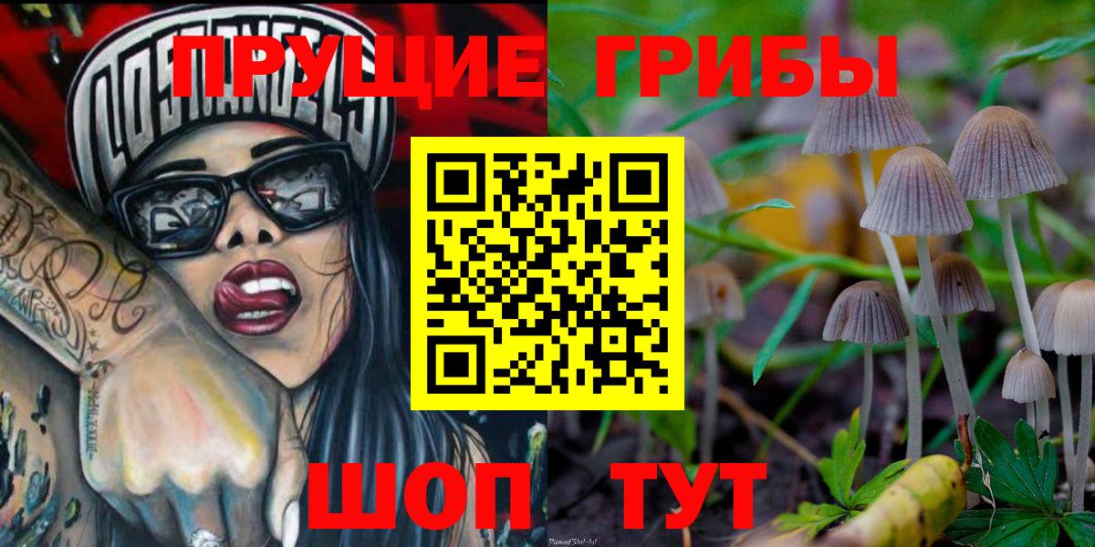 Галлюциногенные грибы Psilocybine cubensis Вятские Поляны